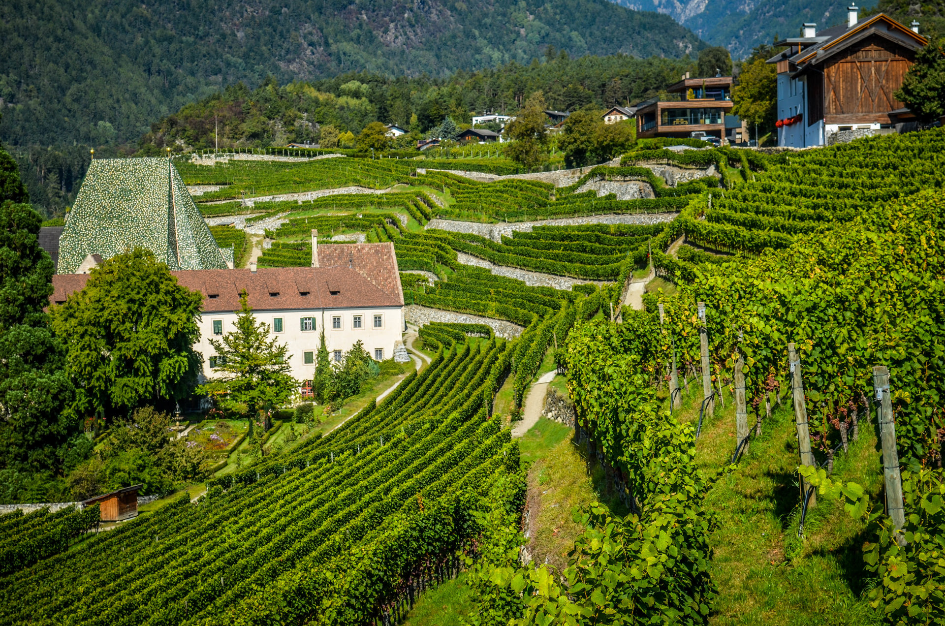 Il vigneto dell'Abbazia di Novacella Il vigneto dell'Abbazia di Novacella