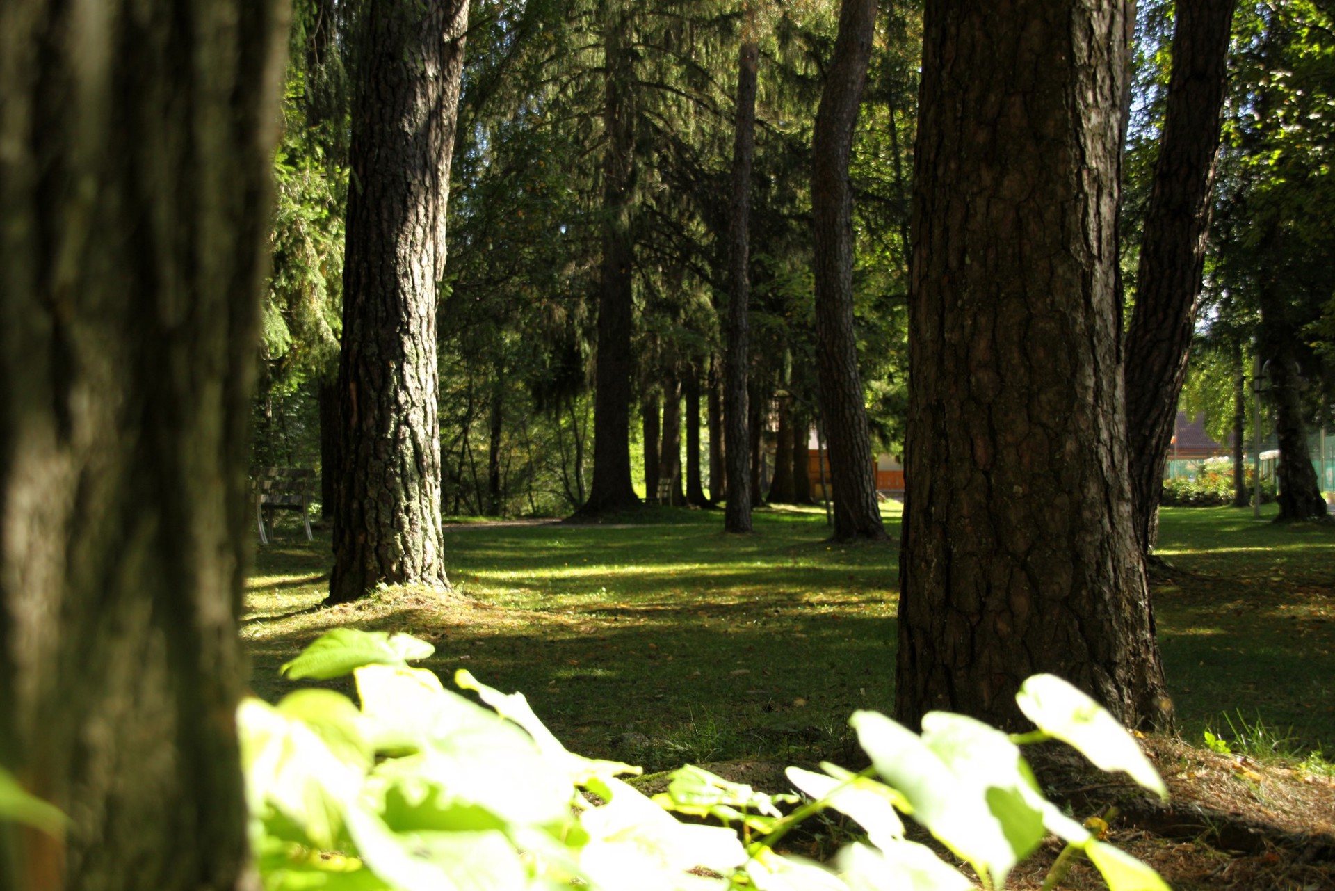 Un parco inmezzo a Villabassa Un parco inmezzo a Villabassa